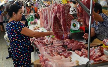 Biến Động Giá Thịt Lợn Trước Tết Nguyên Đán 2020: Dự Đoán Sẽ Giảm Dần!